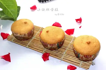 Cranberry cupcakes