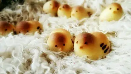 Chicken
