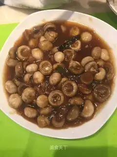 Pelican mouth mushrooms