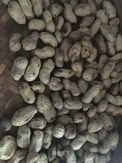 Five peanuts