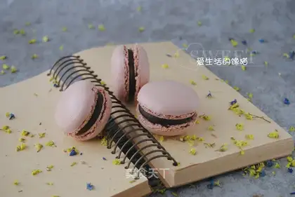 Chocolate Macalon
