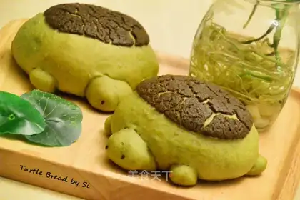 A turtle pineapple bag