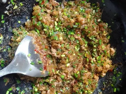 Fried dumplings