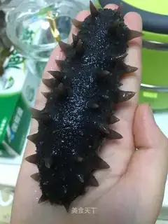 Bubble sea cucumber
