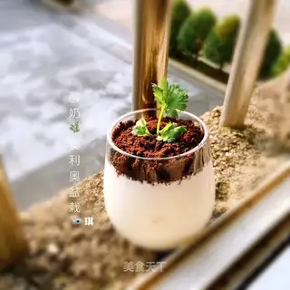 Yogurt Olio