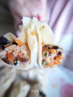 Mushroom dumplings