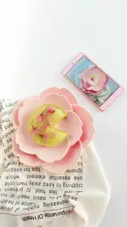 Quartet mousse cake