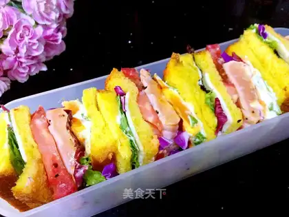 A salmon sandwich