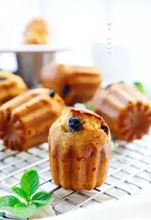 Blueberry Maphine