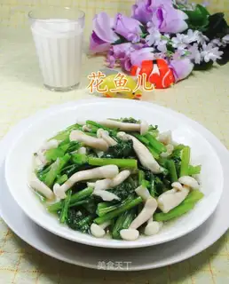 White mackerel
