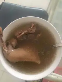 Cream pigeon soup