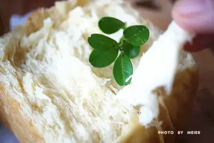 Light cream toast
