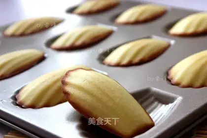 Madeleine Shellcake