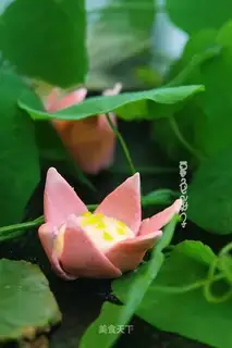 Dark smell