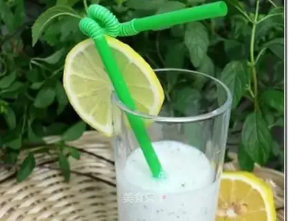 Mint yogurt sauce