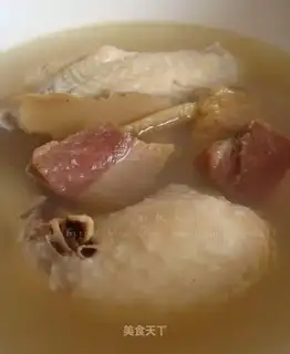Tricholoma matsutake chicken soup