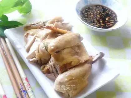 white pheasant