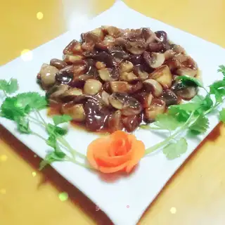 Pelican mushrooms