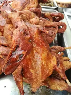 Duck