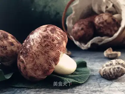 Simulation of mushroom packs