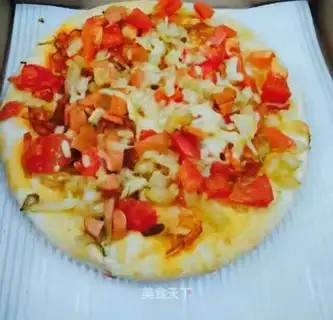 A delicious pizza