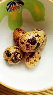 Five quail eggs