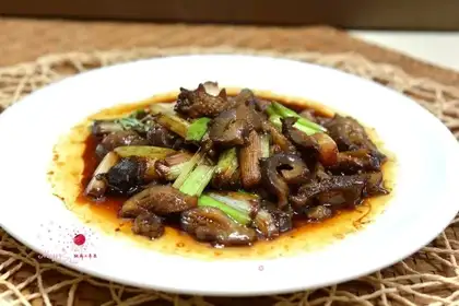Burning sea cucumber