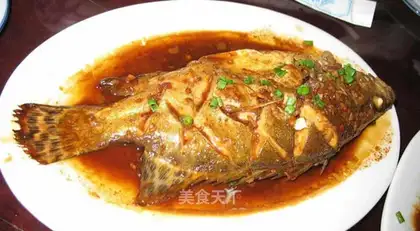Squidfish