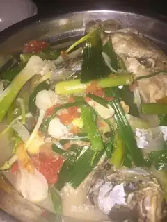 Coldwater fish