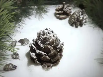 Christmas Cereal