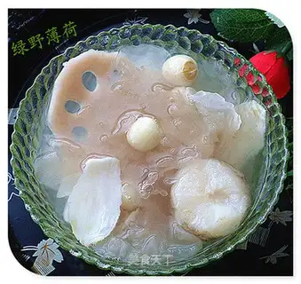 The pulmonary soup