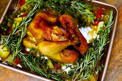 Christmas turkey
