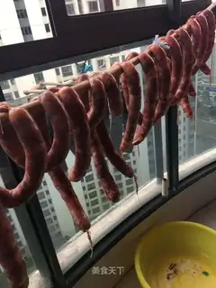 Splendid sausage