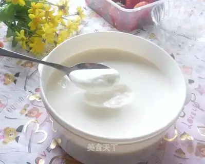 homemade yogurt
