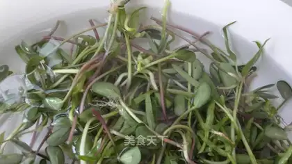 Black bean sprouts