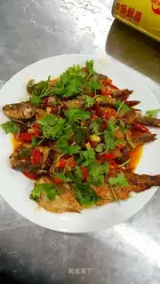 Red-burned minnow