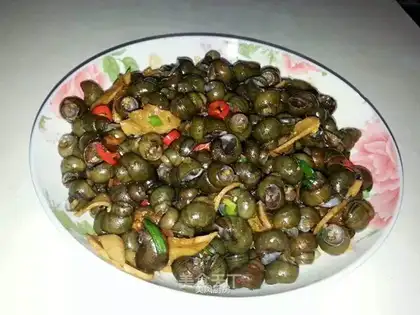Snails