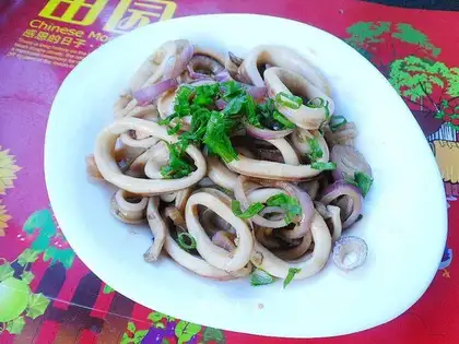 Onion squid