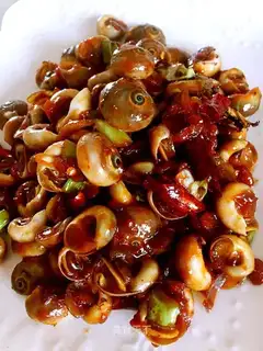 Splendid conch sauce