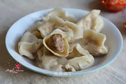 Beef onion dumplings