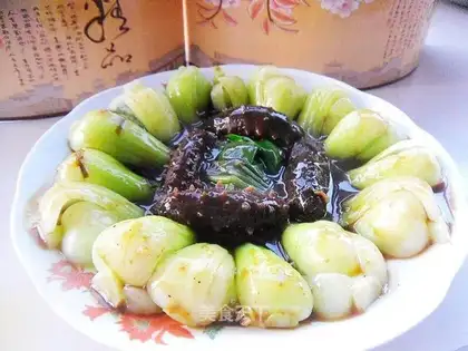 Sea cucumbers