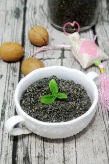 Black sesame pecan powder