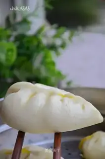 A mushroom bag