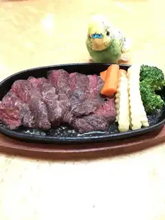 Beef iron