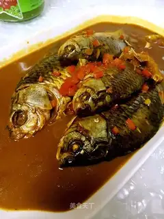 Red-burned minnow