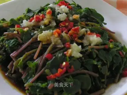 Purslane salad