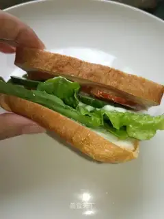 A simple sandwich