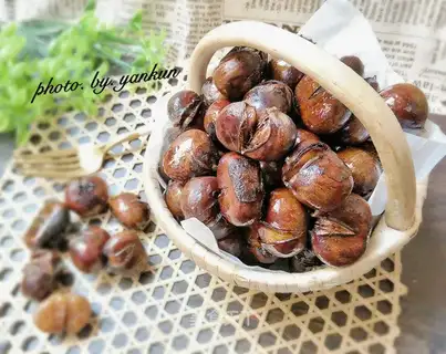 Chestnut
