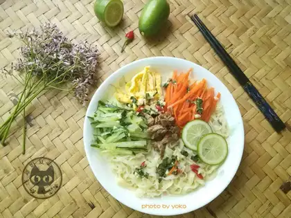 Thai sour noodles
