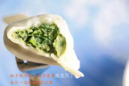 Pork dumplings